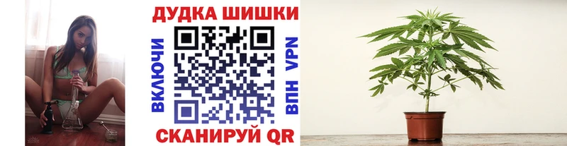 Бошки Шишки гибрид  Киров 